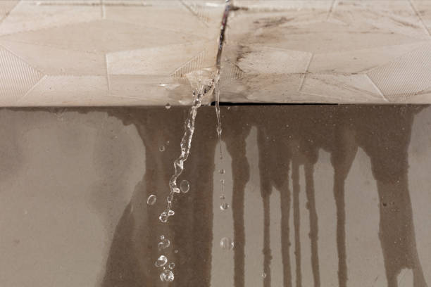 Professional Sewage Cleanup technician working in Folsom, WV